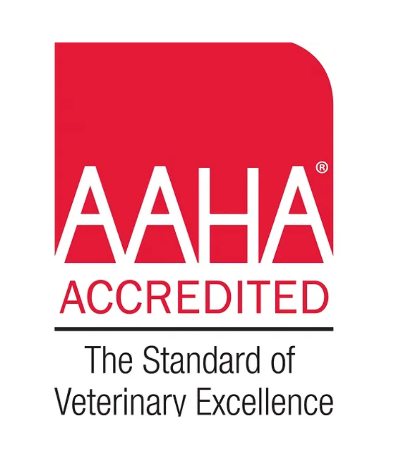 AAHA Accredited Veterinarian