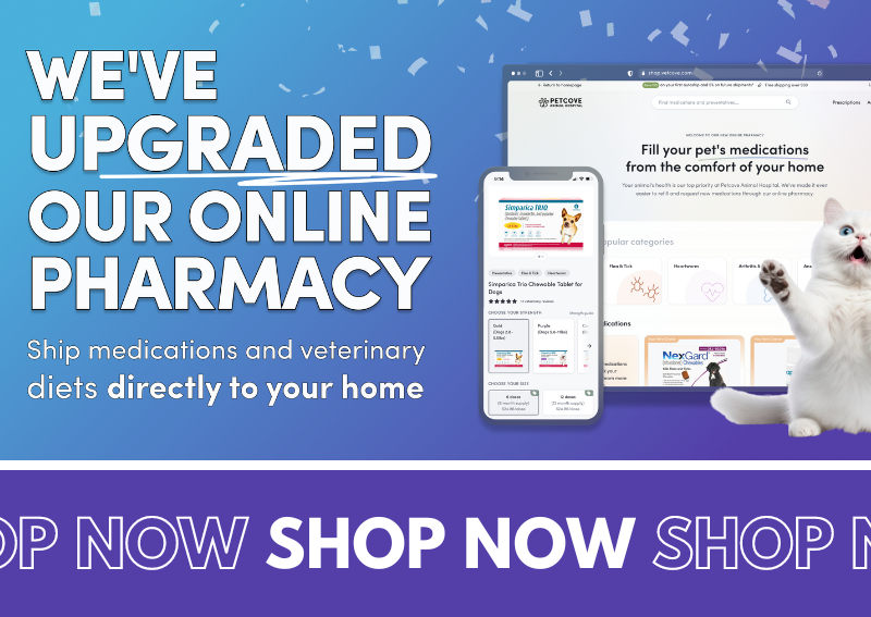 Carousel Slide 3: Online Pharmacy >